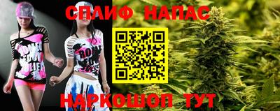 твердый Будённовск