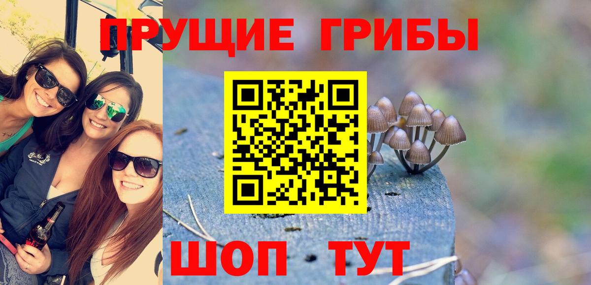 Псилоцибиновые грибы MAGIC MUSHROOMS Саяногорск